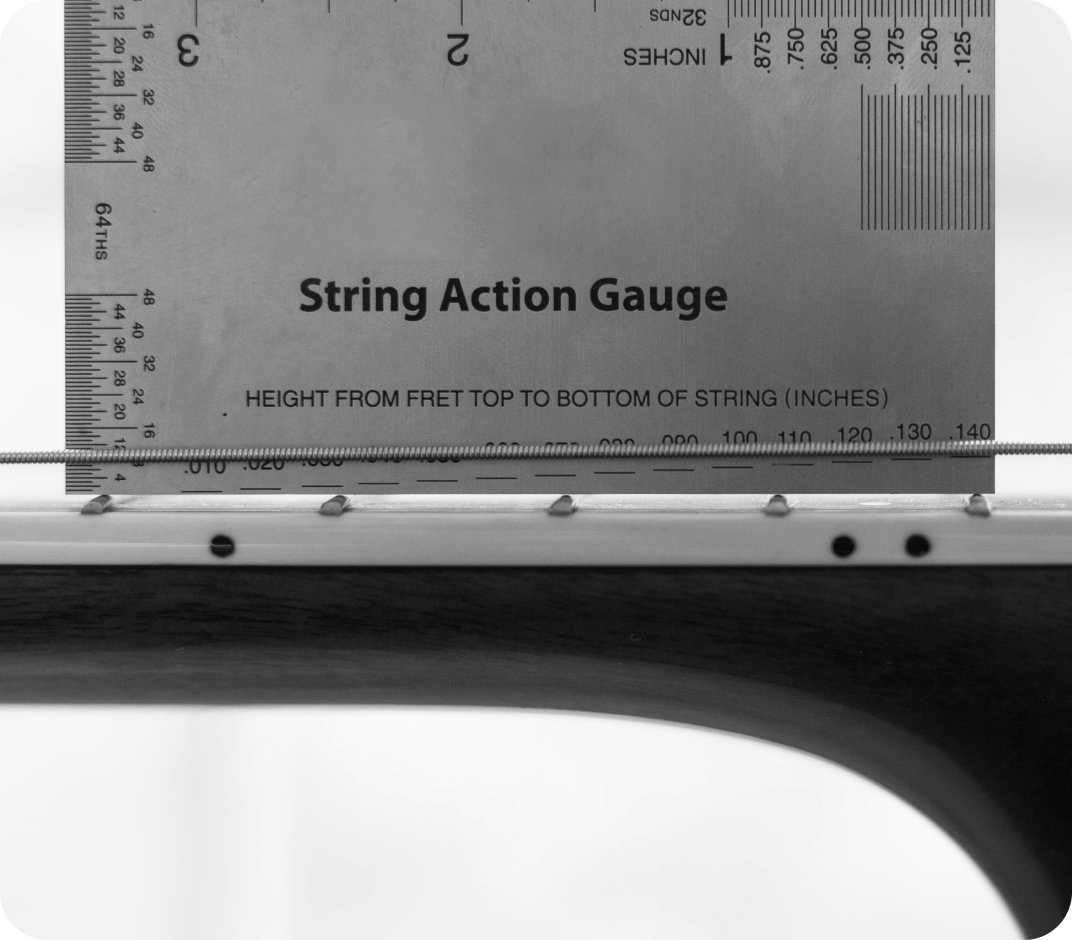 Standard 4